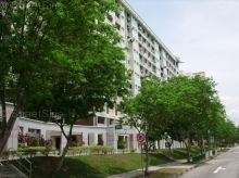 Blk 450A Tampines Street 42 (S)521450 #106252